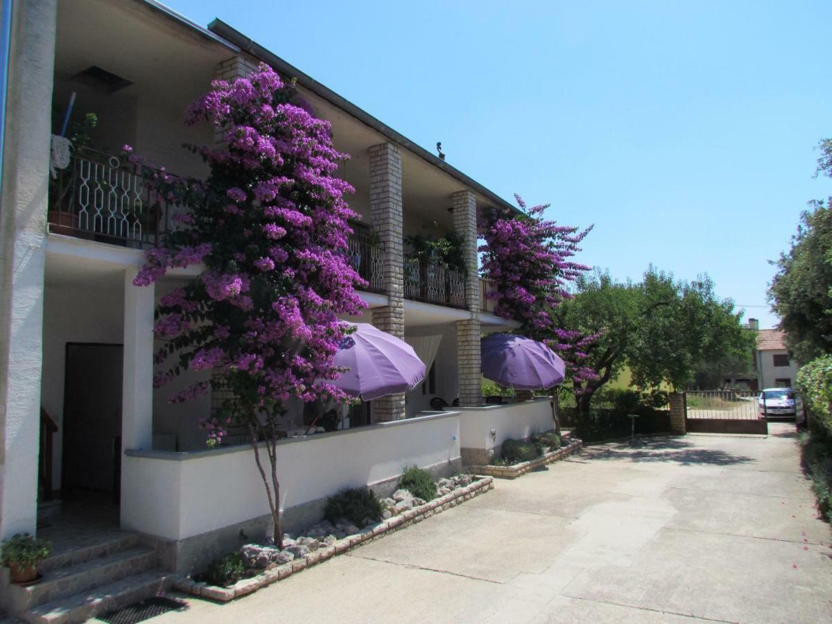 Apartments Pipi Pakoštane エクステリア 写真